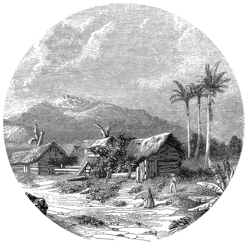 WallArt Kruhová tapeta Landscape of Guadeloupe 190 cm