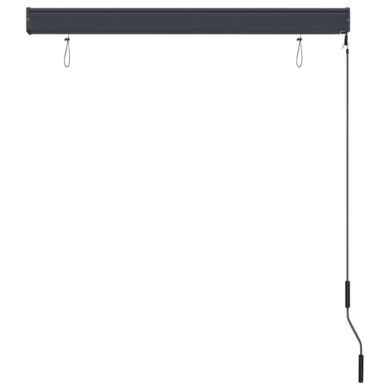vidaXL Vonkajšia zatemňovacia roleta 120x250 cm antracitová