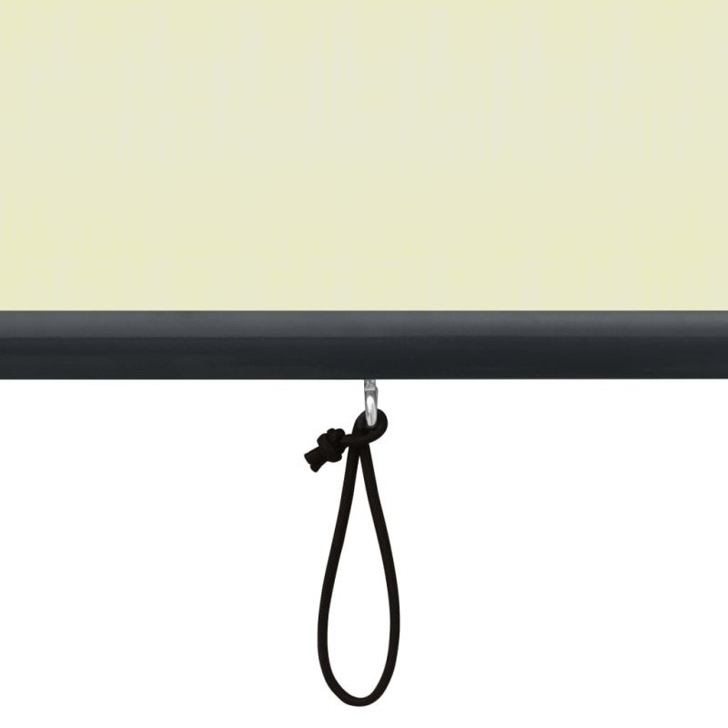 vidaXL Vonkajšia zatemňovacia roleta 120x250 cm krémová