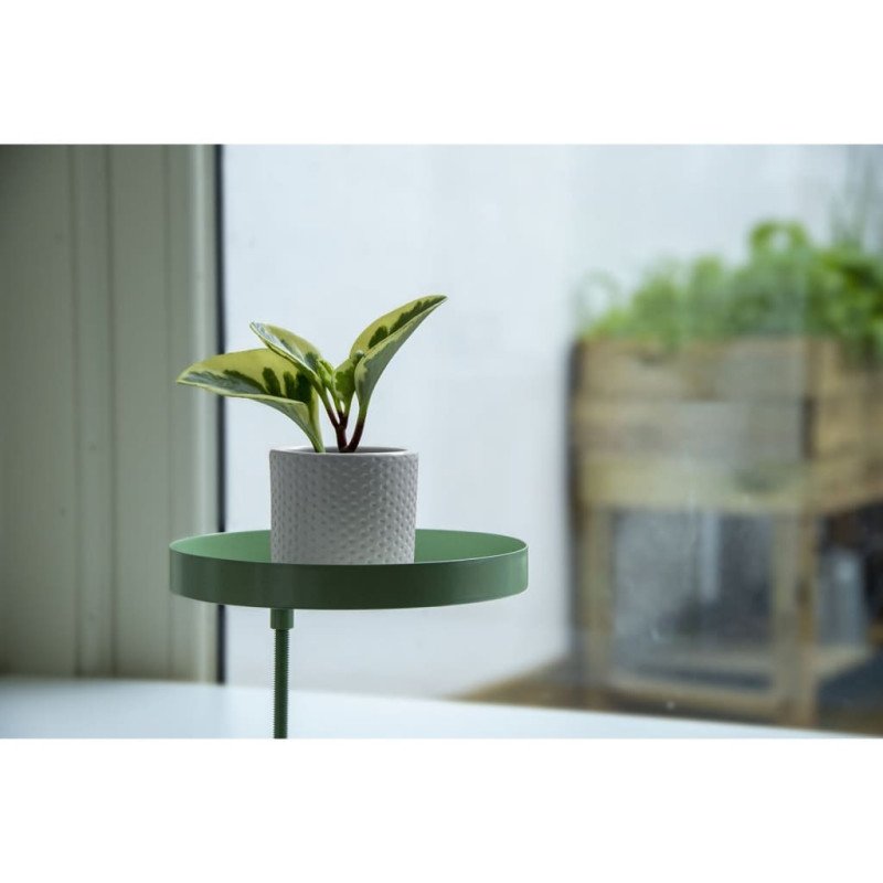 Esschert Design Podnos na rastliny so svorkami okrúhly zelený M