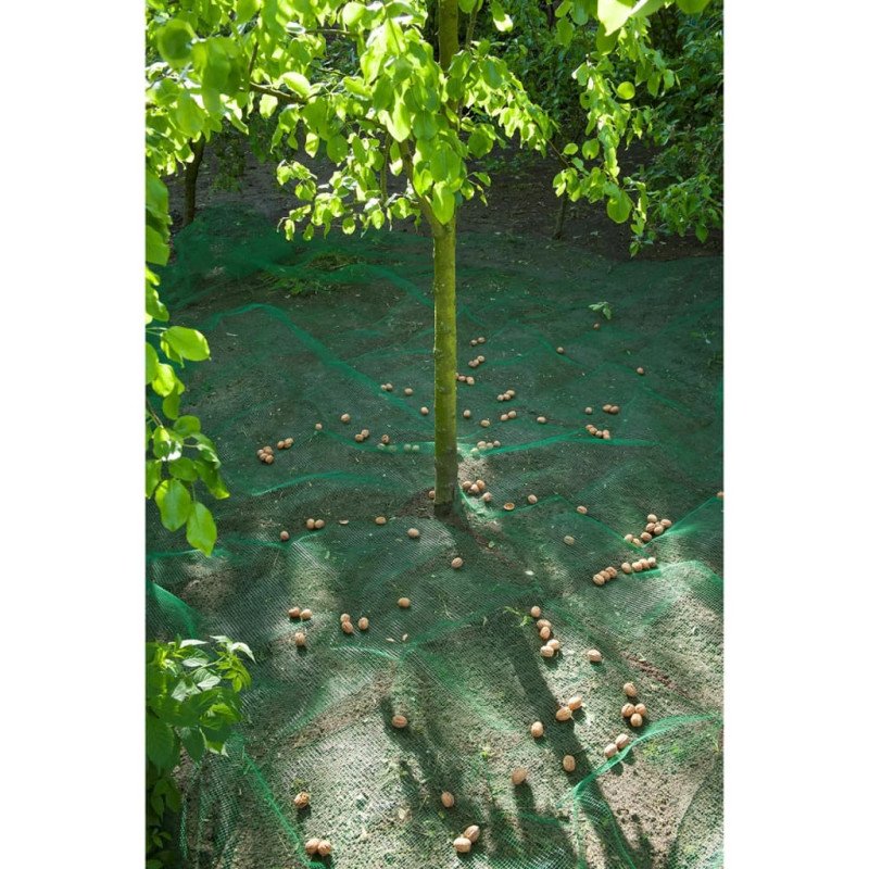 Nature Sieť na zber ovocia a lístia 4,3x4,3 m 6030451
