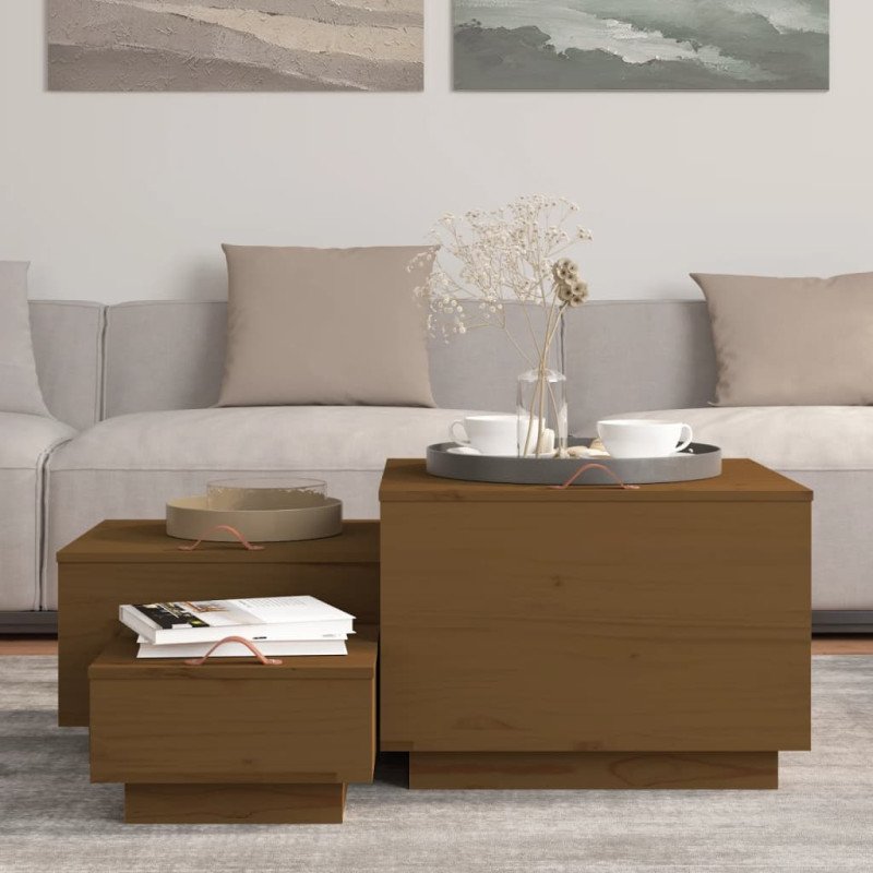 vidaXL Úložné boxy s vekom 3 ks medovohnedé masívna borovica