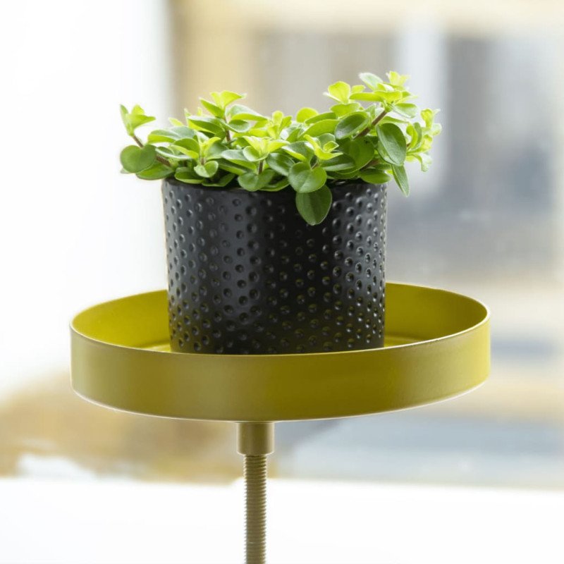 Esschert Design Podnos na rastliny so svorkou okrúhly zlatý S