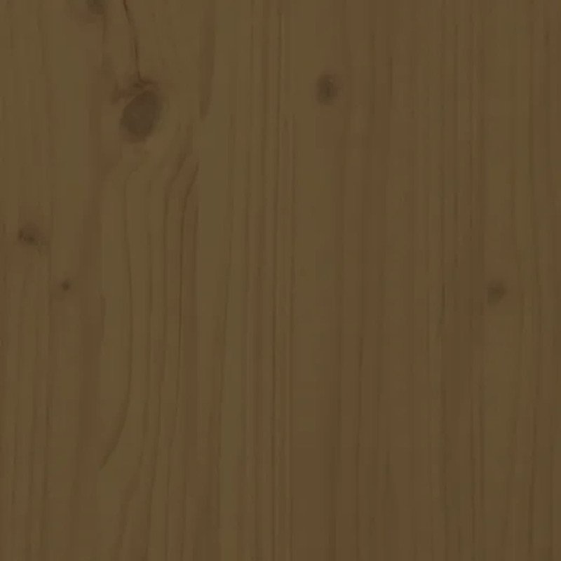 vidaXL Záhradný úložný box medovo-hnedý 121x55x64 cm masívna borovica
