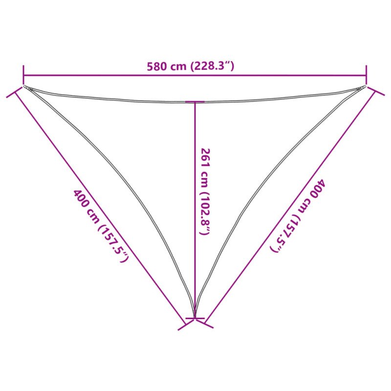 vidaXL Tieniaca plachta 160 g/m² antracitová 4x4x5,8 m HDPE