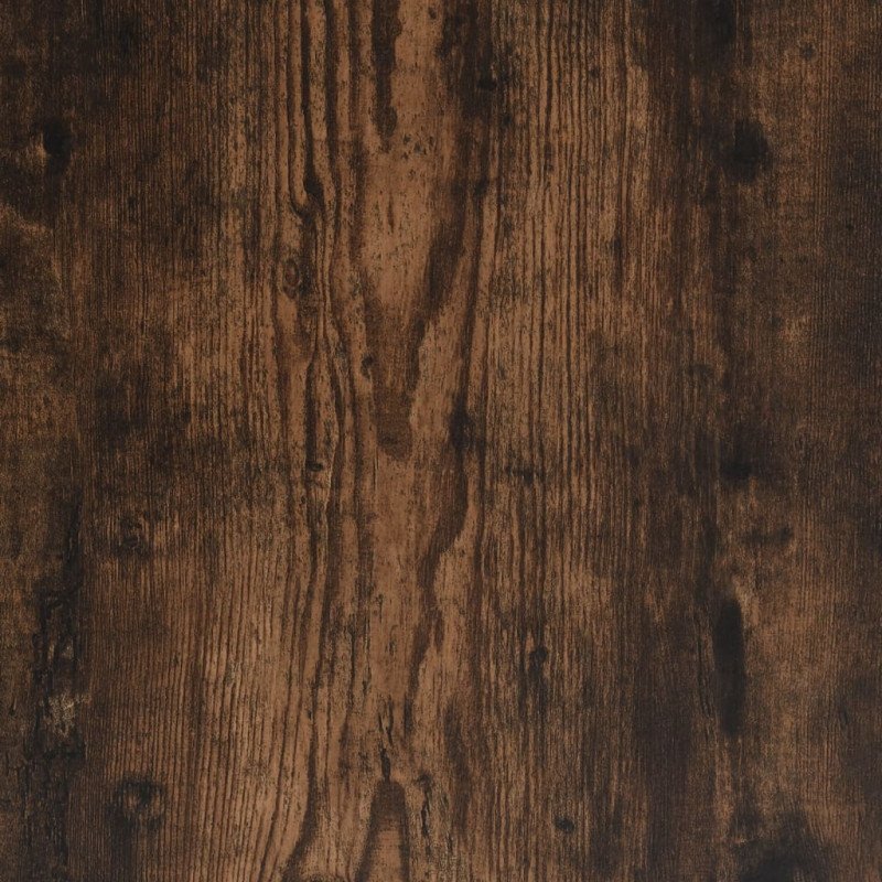 vidaXL Šatník dymový dub 100x50x200 cm spracované drevo