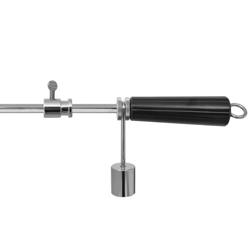 vidaXL Grilovací ražeň s motorčekom, oceľ, 1200 mm