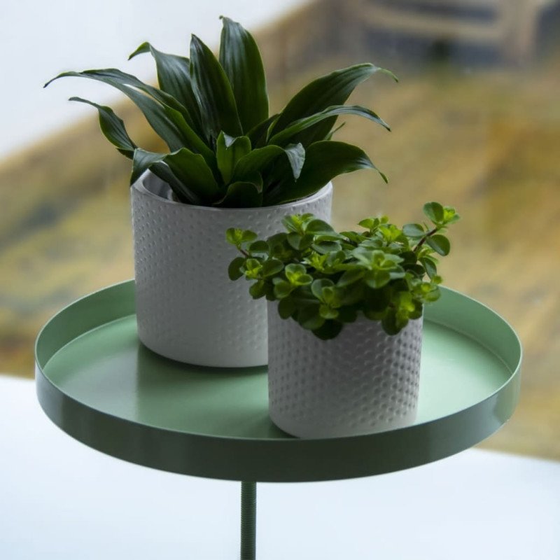 Esschert Design Podnos na rastliny so svorkami okrúhly zelený L