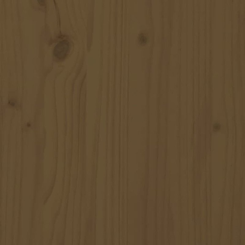 vidaXL Záhradný box medovohnedý 101x50,5x46,5 cm masívna borovica