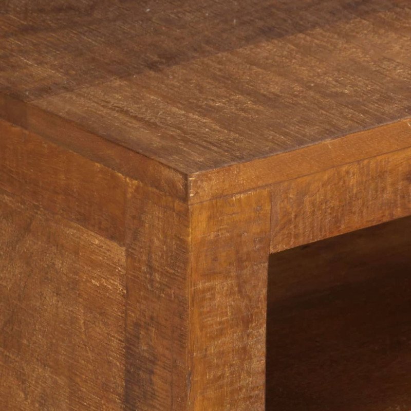 vidaXL TV skrinka 120x30x40 cm, mangový masív vidaXL TV skrinka 120x30x40 cm, mangový masív