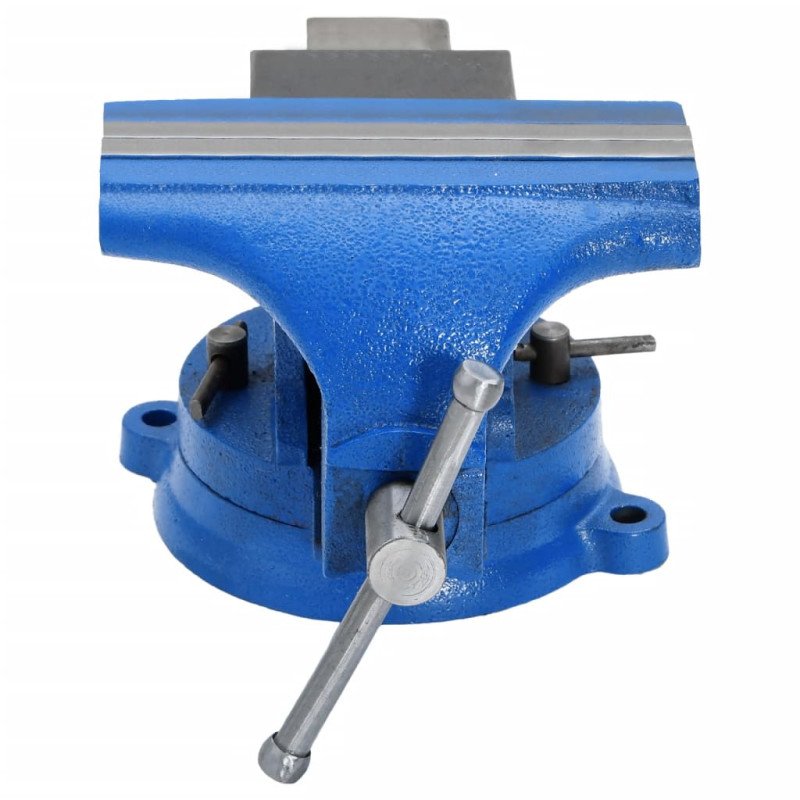 vidaXL Stolný zverák 125 mm liatinový