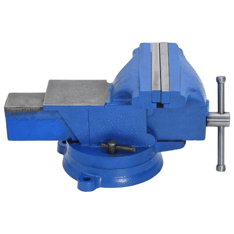vidaXL Stolný zverák 125 mm liatinový