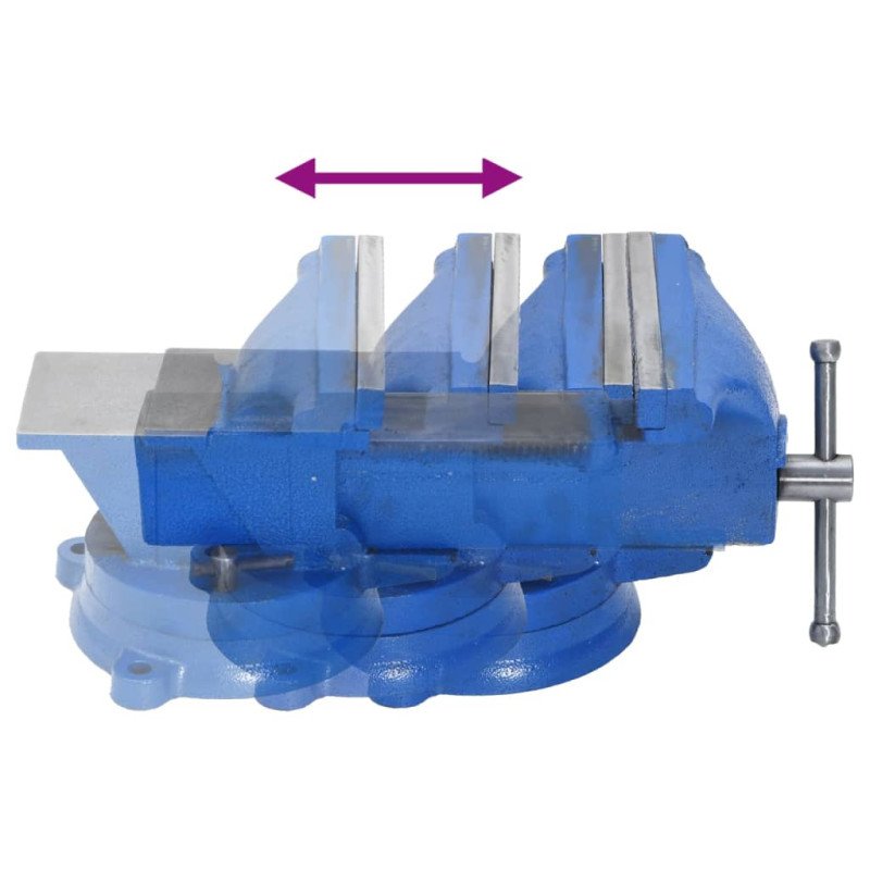 vidaXL Stolný zverák 125 mm liatinový