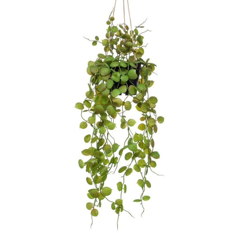 Emerald Umelá závesná ceropegia v kvetináči 50 cm
