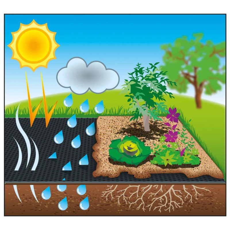 Nature pôdna krycia fólia 1x20 m čierna 6030220