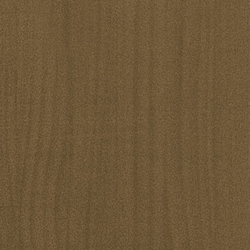 vidaXL Konferenčný stolík medovo-hnedý 75x50x33,5 cm borovicový masív