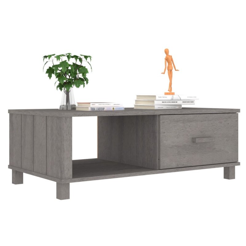 vidaXL Konferenčný stolík HAMAR, svetlosivý 100x55x35 cm, borovica