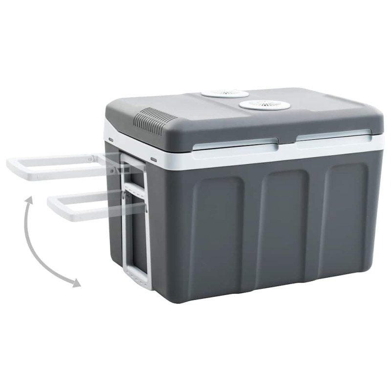 vidaXL Prenosný termoelektrický chladiaci box 40 l 12 V 230 V E