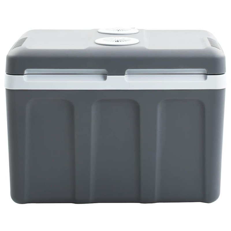 vidaXL Prenosný termoelektrický chladiaci box 40 l 12 V 230 V E