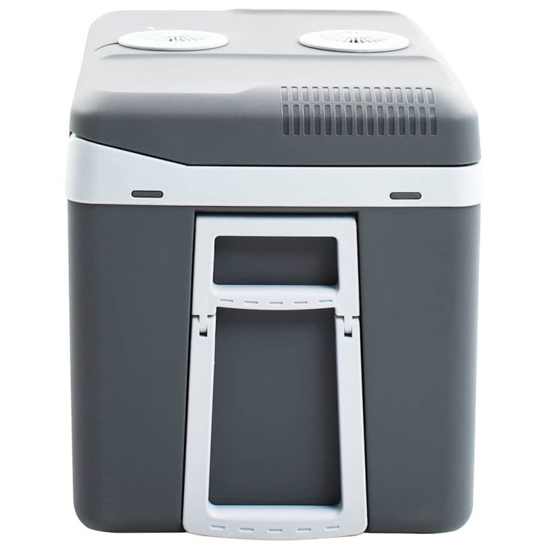 vidaXL Prenosný termoelektrický chladiaci box 40 l 12 V 230 V E