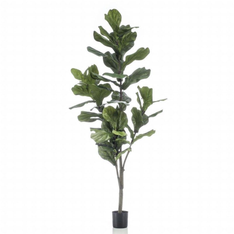 Emerald Umelý fikus lýrovitolistý 160 cm 