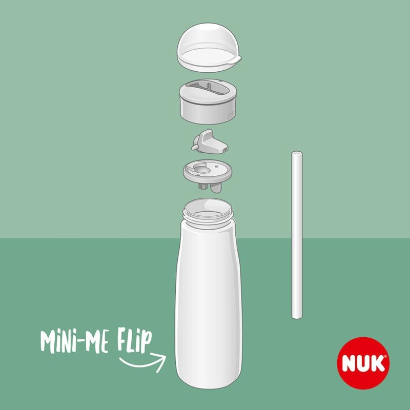 Detská fľaša NUK Mini-Me Flip Frozen  450 ml 12+ m